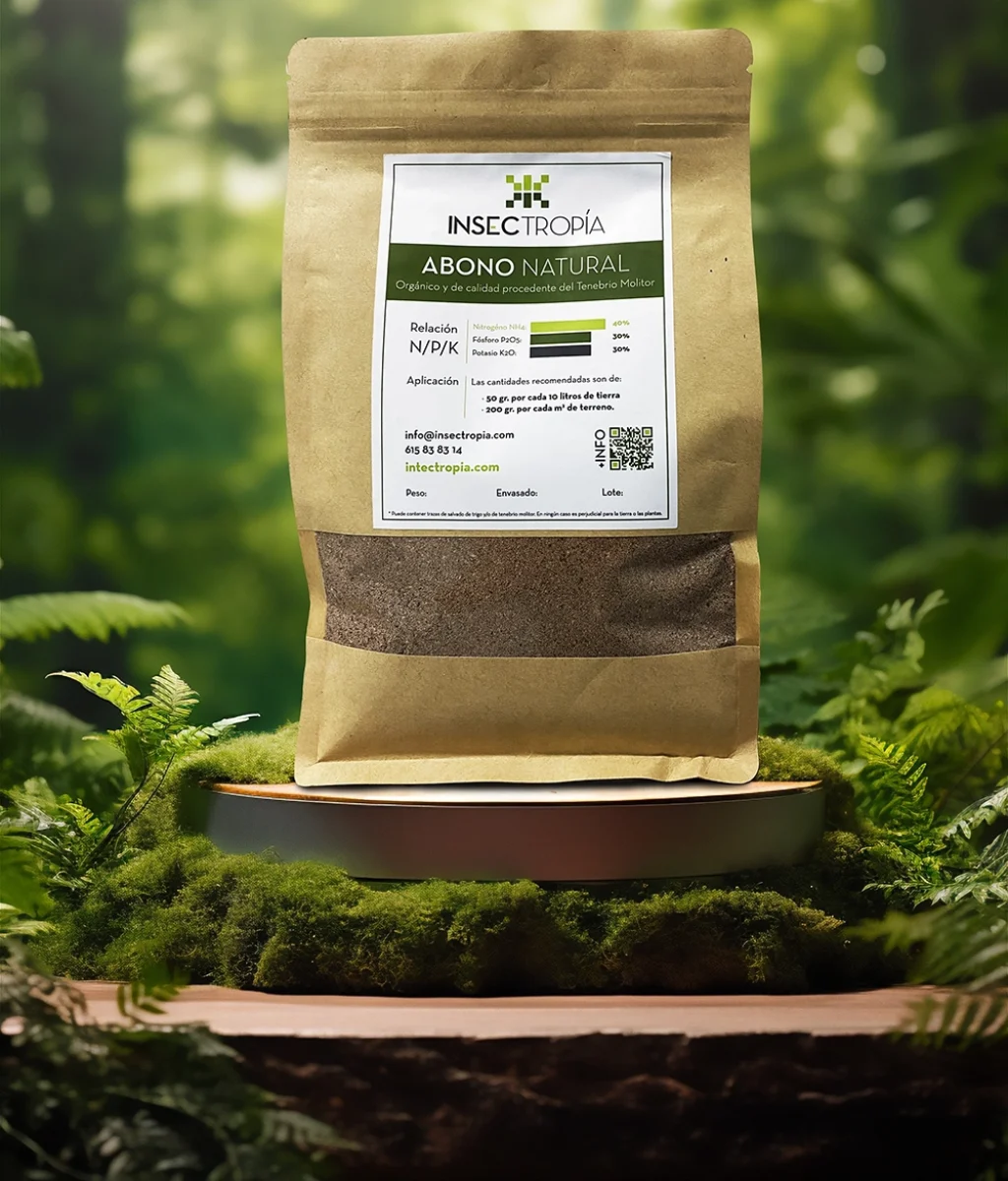 enchanting-forest-photoset-natural-beauty-wild-ambiance-product-showcase copia